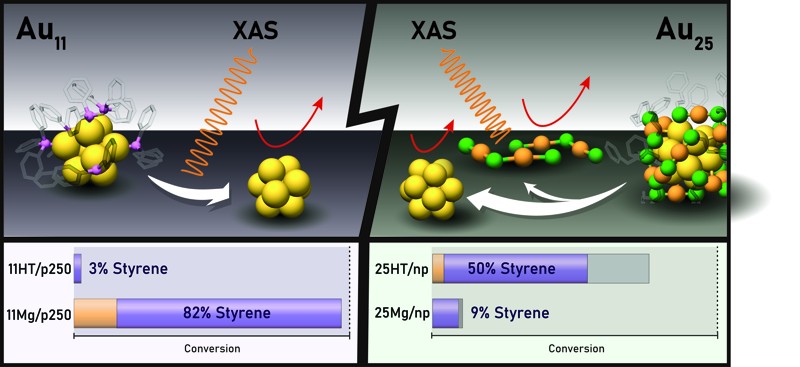 Preview for TOC_Nanoscale2024.tif